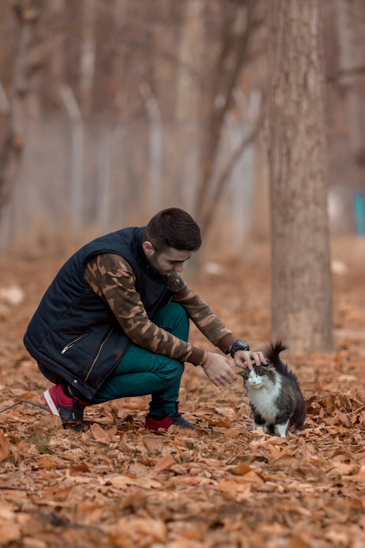 Man Petting A Cat