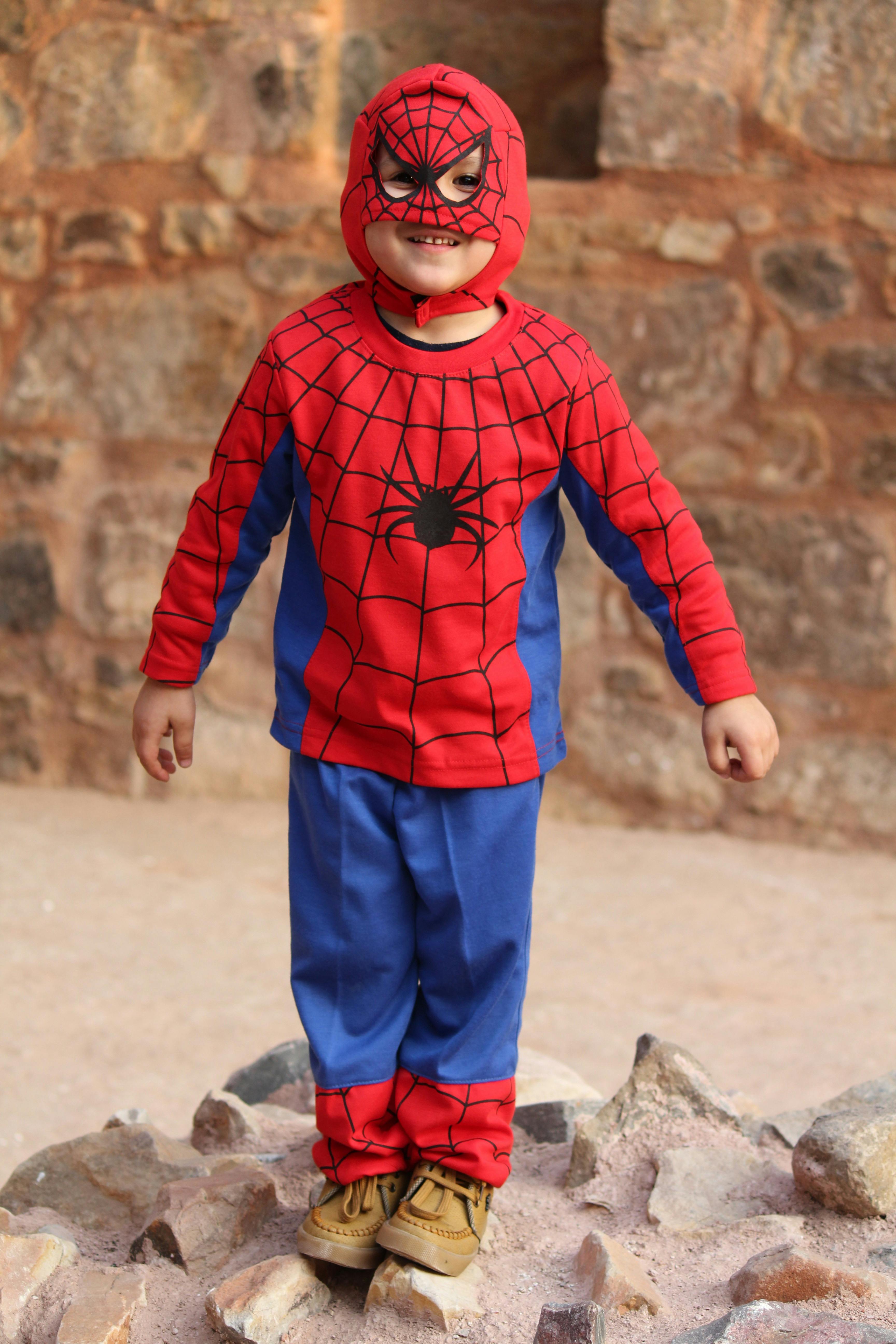 Free stock photo of Spider baby, spider man