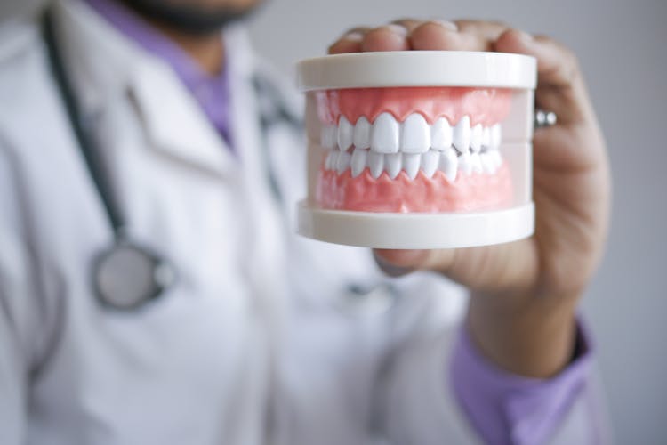 Doctor Holding Dentures In A Transparent Box