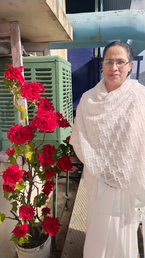 Free BK Manjusha didi ji global hospital Mount Abu Stock Photo