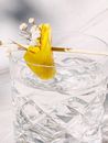 Glass of Water Decorated with Piece of Fruit and Flowers