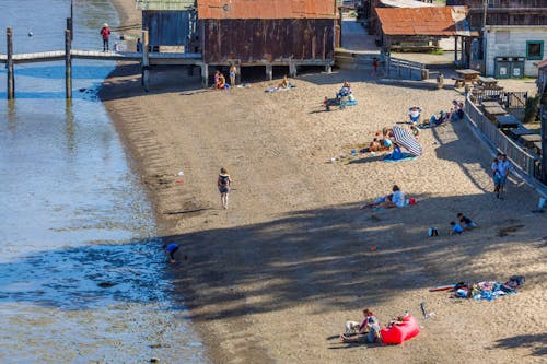 Foto stok gratis laut, manusia, musim panas