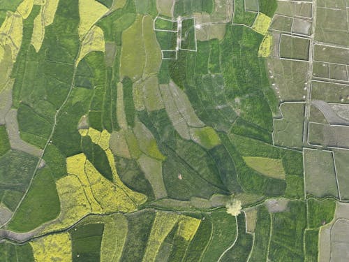 Aerial Footage of Cropland 
