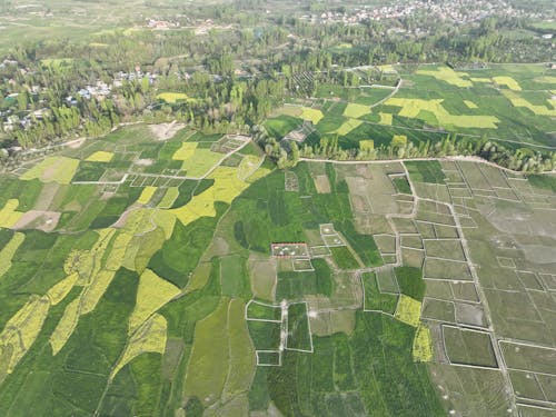 arazi, drone fotoğrafçılığı, ekili arazi içeren Ücretsiz stok fotoğraf