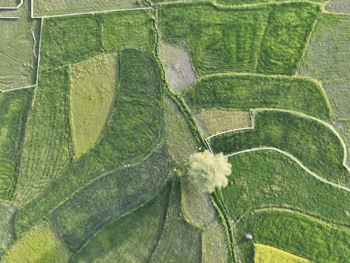 arazi, drone fotoğrafçılığı, ekili arazi içeren Ücretsiz stok fotoğraf