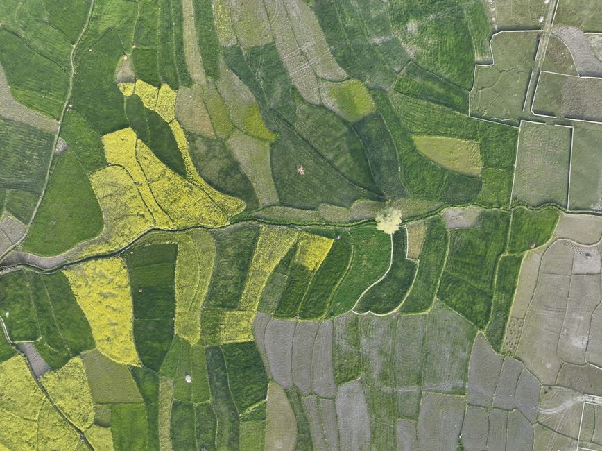A mesmerizing aerial view of colorful agricultural fields in Kashmir, showcasing diverse crops and patterns.
