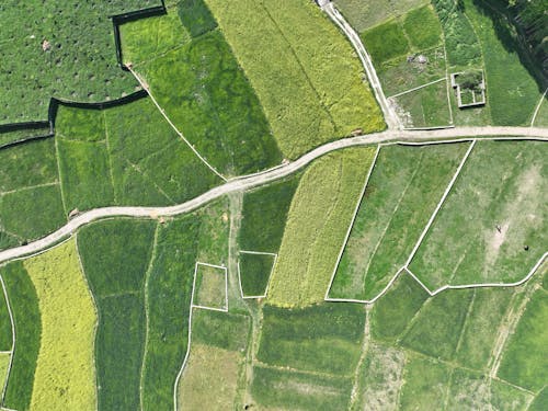 Free Aerial View of Green Fields Stock Photo