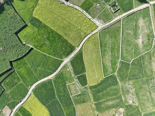 Free Aerial Footage of Cropland Stock Photo