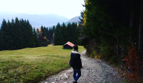 Free Alps Stock Photo