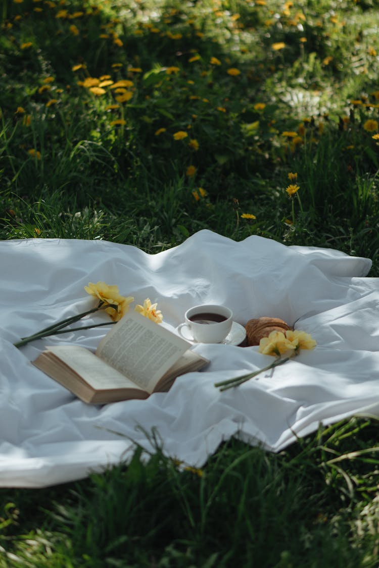 Book, Flowers And Tea Cup On Blanket Lying On Grass