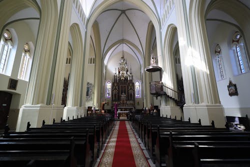 Gratis lagerfoto af buet, indendørs, katedral