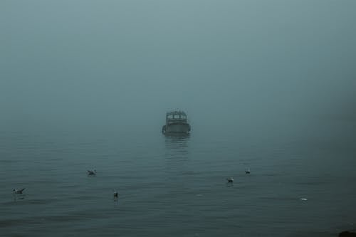 An Empty Boat on Body of Water with Ducks