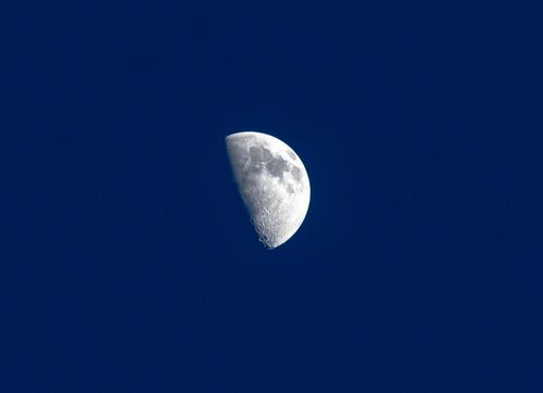 Free A clear view of the half moon with visible craters set against a rich blue sky. Stock Photo