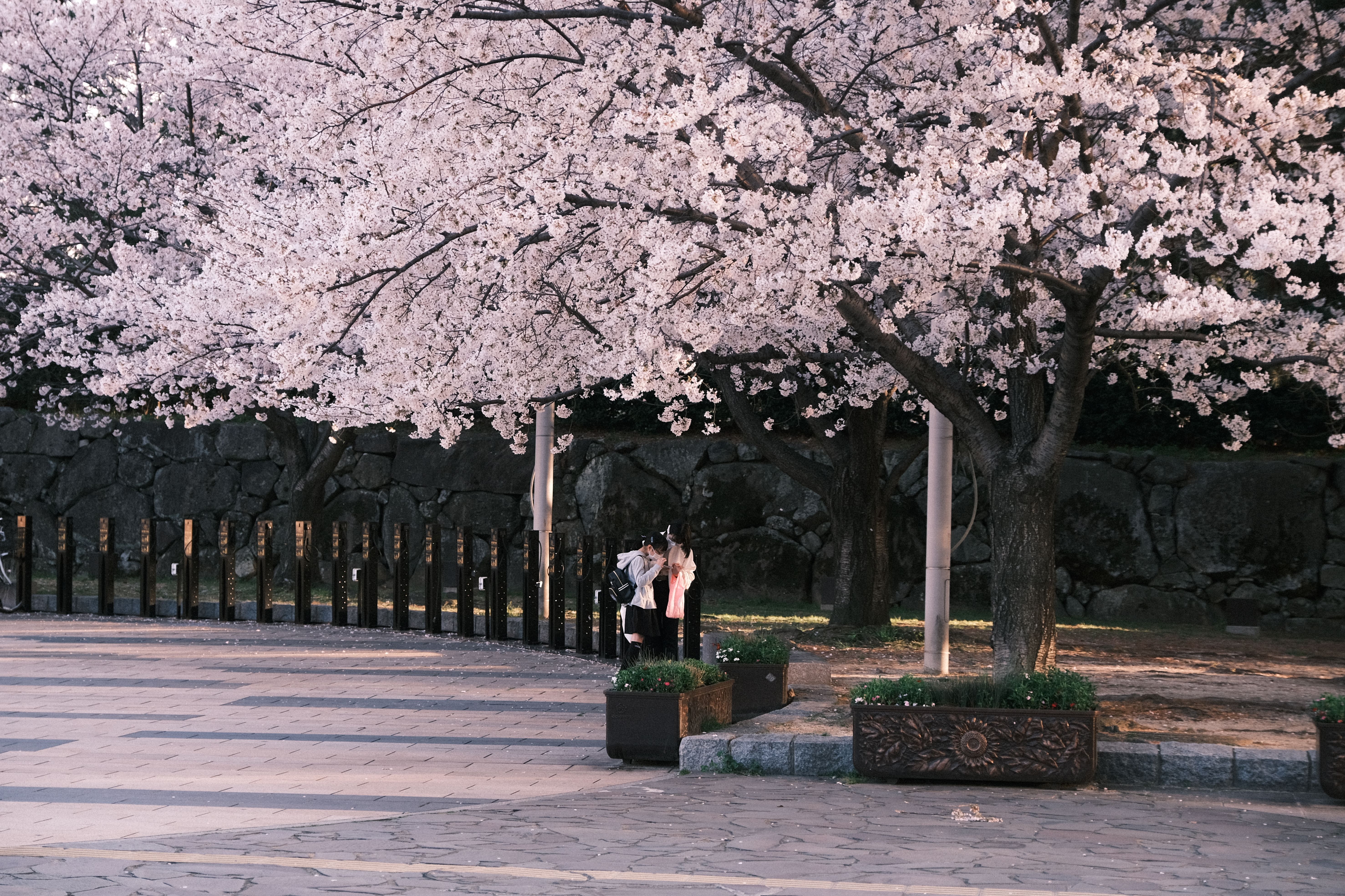 Yoshino — Street, Yoshino
