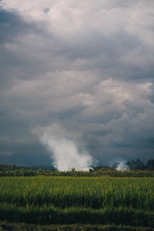 Free Vast expanse of green cropland beneath a dramatic cloudy sky with smoke rising in the distance. Stock Photo