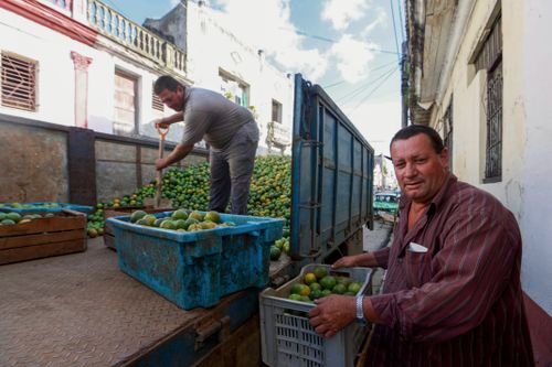 Free Two men loading crates of mangoes onto a truck in an outdoor urban setting. Stock Photo