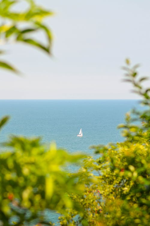 Free stock photo of boats, green, horizon