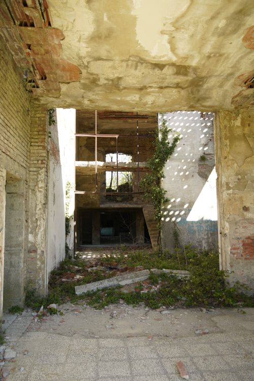 Free Explore an abandoned building's interior overtaken by nature, showcasing decay and history. Stock Photo