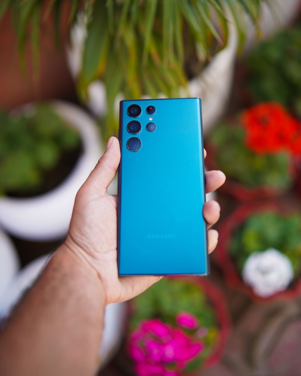 Mão segurando smartphone com plantas verdes ao fundo