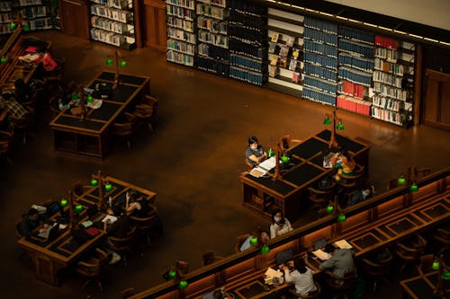 People Inside a Library