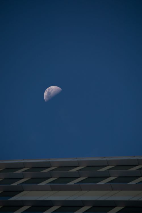 Free Captivating view of a half moon above a modern roof structure in London under a clear blue sky. Stock Photo
