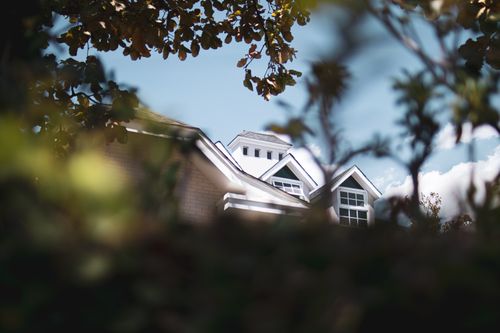 Free Sneaking Trough Greenery Stock Photo