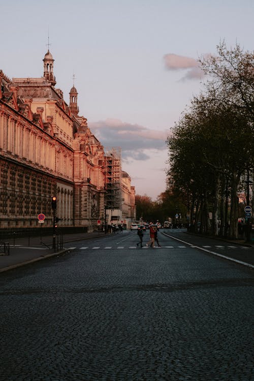 People Crossing the Street Using the Pedestrian Lane