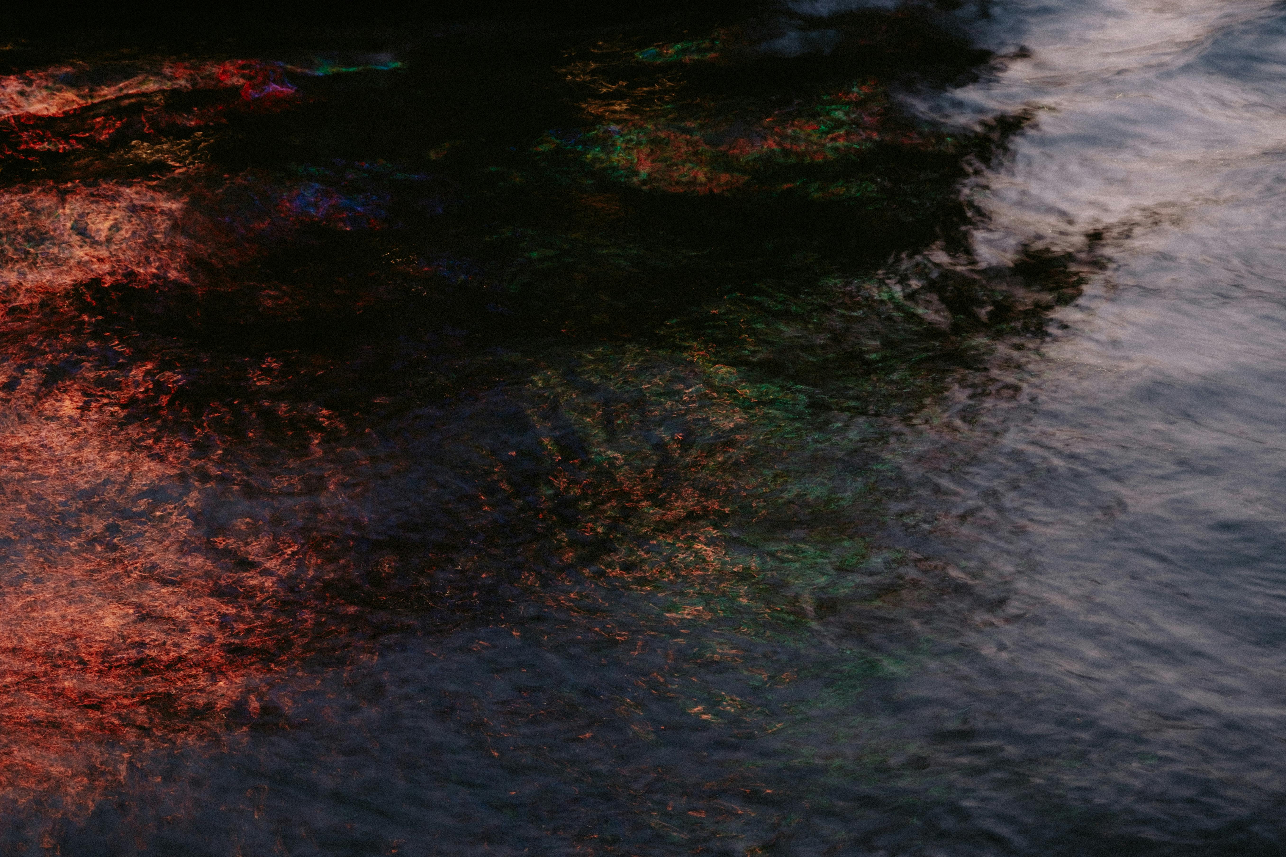 Tree Reflected in Lake