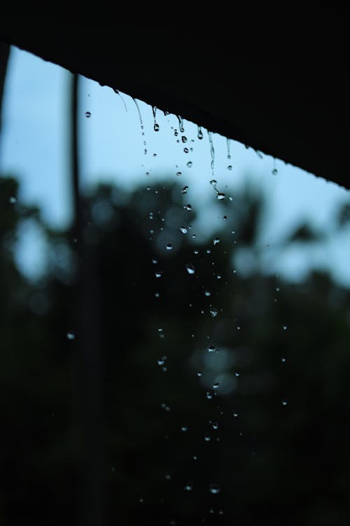 Immagine gratuita di acqua azzurra, dopo la pioggia, fotografia con gocce d'acqua