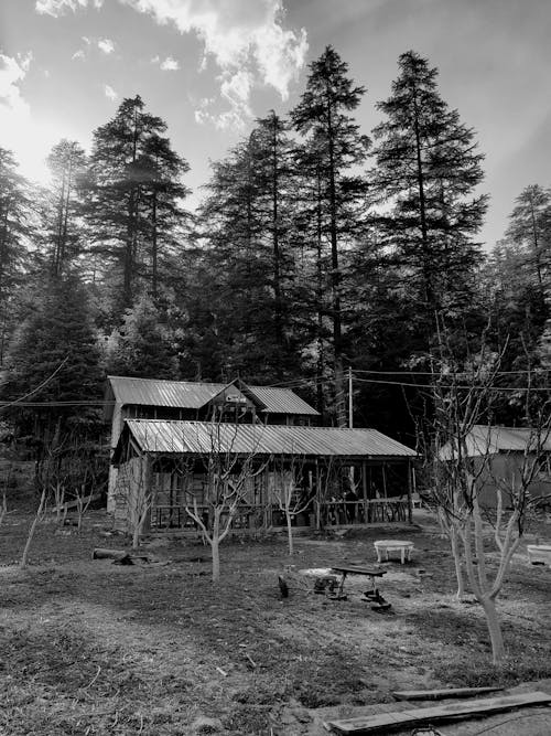 Black and White of a Farm House Near the Forest