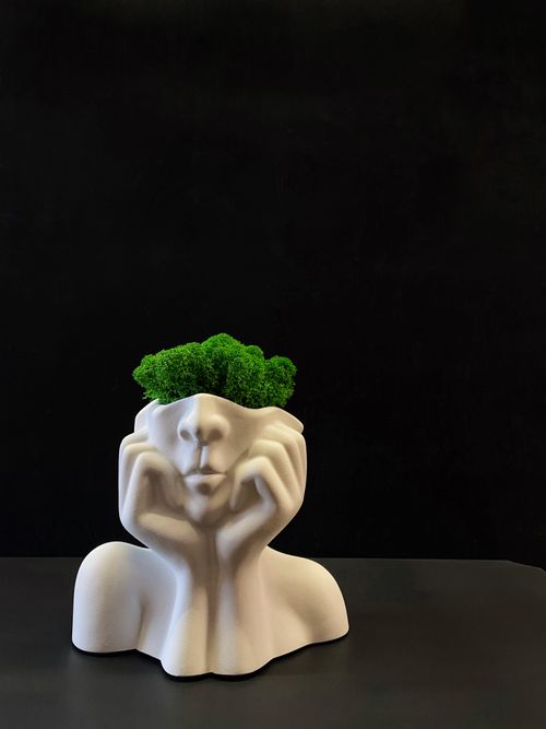 Free Stylish abstract ceramic face planter with vibrant green plant against a dark background, perfect for interior decor. Stock Photo
