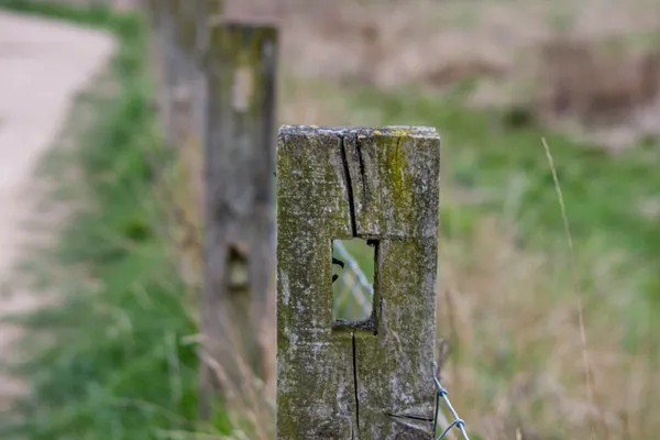 Wood Fence Installation