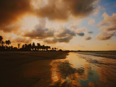 A stunning sunset over a serene beach with palm silhouettes and reflecting waves.