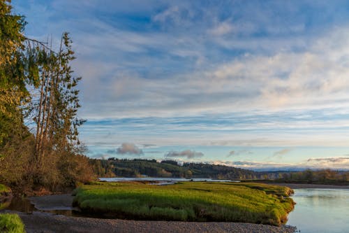 River Islets Covered with Grass