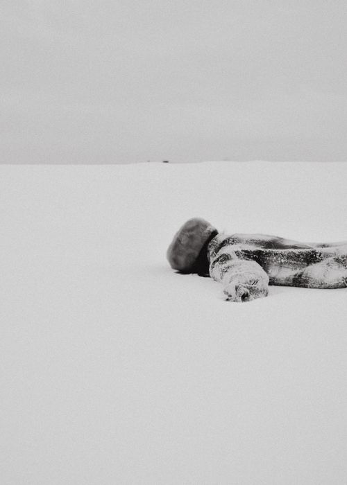 Free A stark winter landscape with a snow-covered log in a vast icy field, capturing the essence of cold. Stock Photo