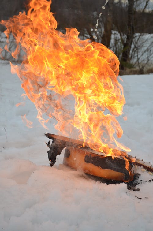 Free Burning Wood on Snow Stock Photo