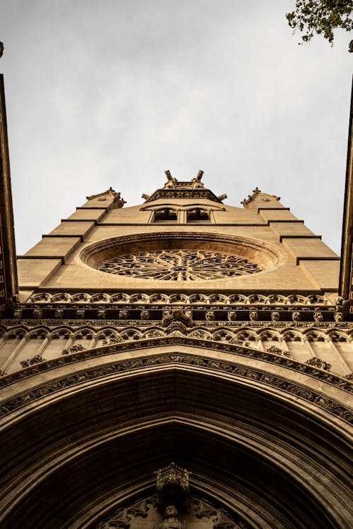 Kostnadsfri bild av brun, goth liknande, katedral