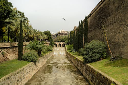 Kostnadsfri bild av fästning, flod, gräs