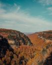 Brown and Green Trees on Brown Mountain Under Blue Sky
