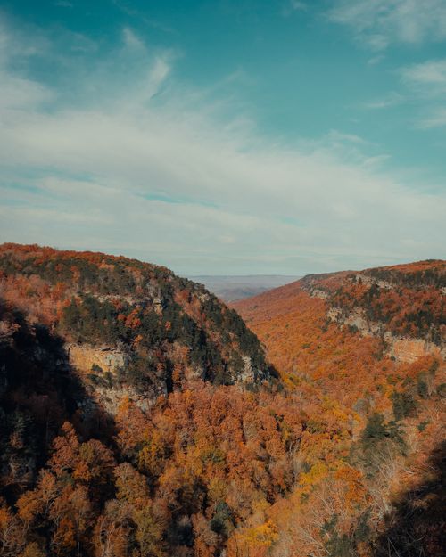 Free Captivating autumn landscape with colorful foliage covering rolling hills in Georgia, USA. Stock Photo