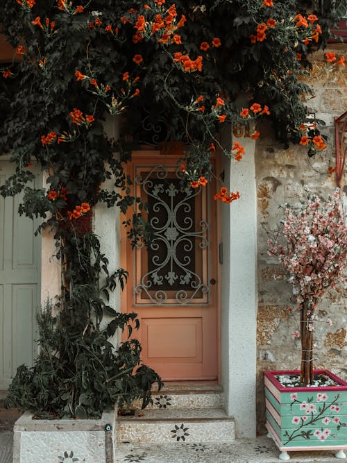 Darmowe zdjęcie z galerii z drzwi, pomarańczowe kwiaty, rośliny