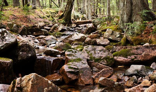 Free stock photo of rocks, stream, stream waterfall