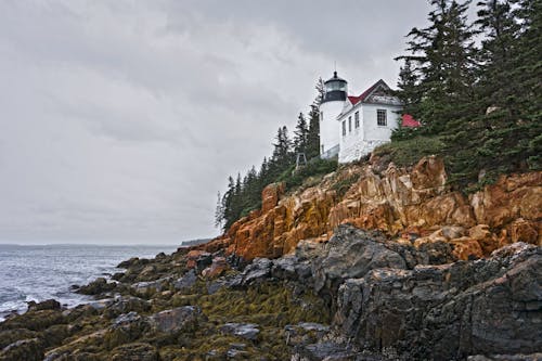 Free stock photo of cliff, clouds, coast