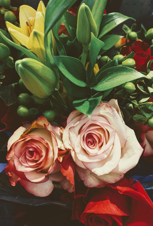 Free Imagine de stoc gratuită din aranjament floral, buchet, flori Stock Photo