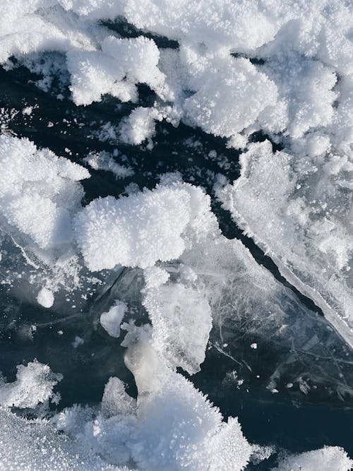 Kostnadsfri bild av fryst, kall, snö