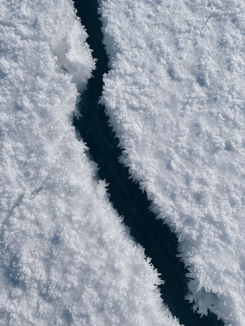 Kostnadsfri bild av fryst, is, snö
