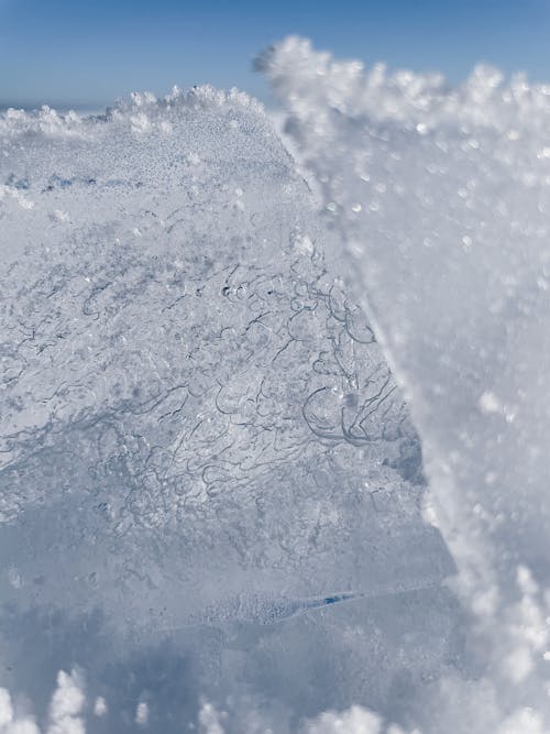 Kostenloses Stock Foto zu gefroren, kalt, nahansicht