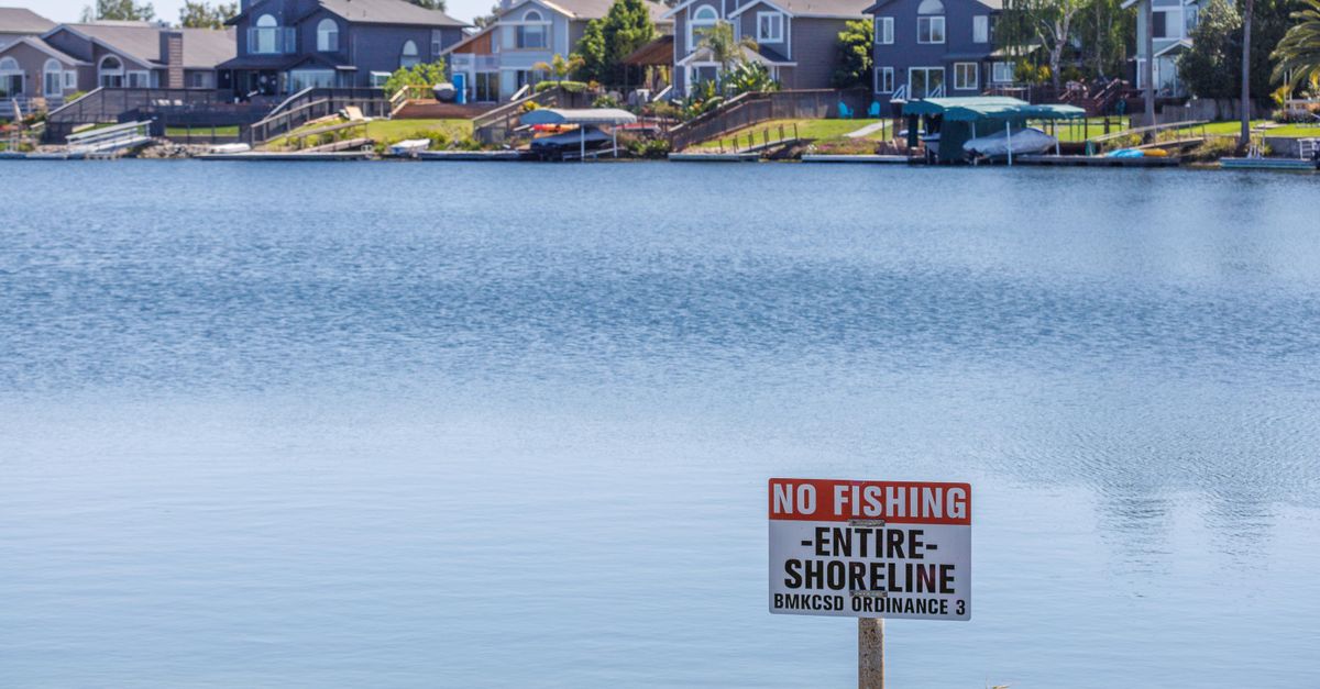 Tranquil lakeside view of residential homes with a prominent no fishing sign in the foreground.