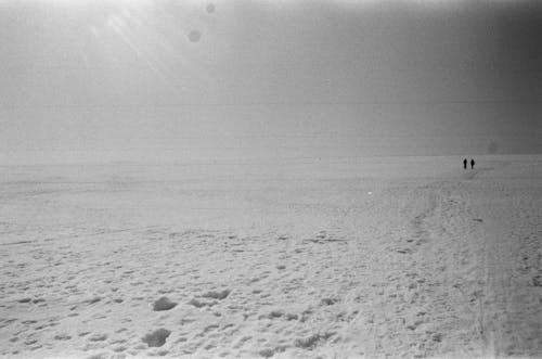 Foto profissional grátis de chão coberto de neve, escala de cinza, inverno