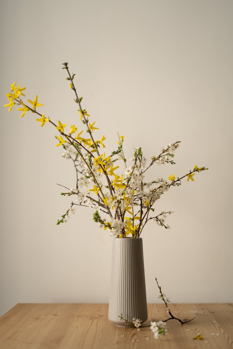 Flowering Tree Twigs In Vase